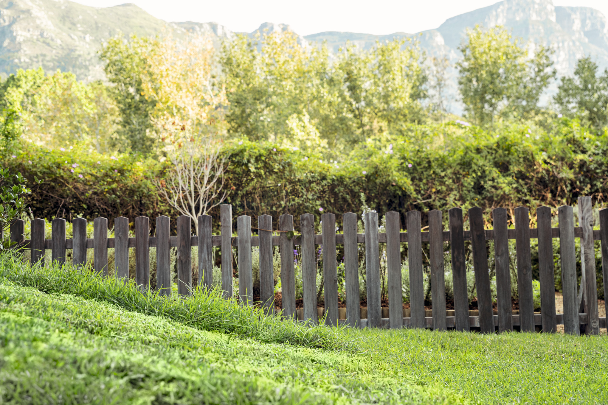 Pelouse irrégulière devant une clôture en bois, arbres et paysage de montagne en arrière-plan